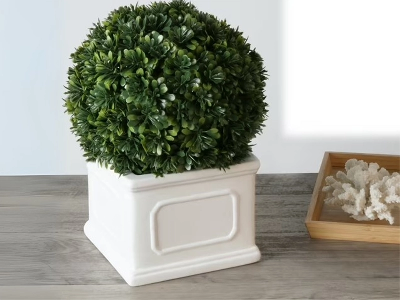 Air Plant Holder Ideas Air Plant Holder Ideas