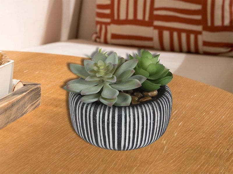 Air Plant Holder Ideas Air Plant Holder Ideas