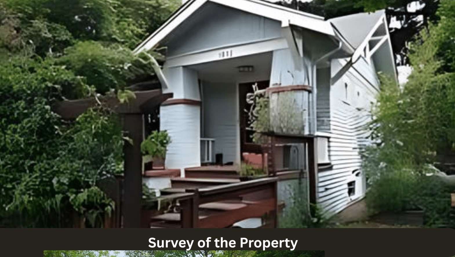 Survey of the Property Survey of the Property
